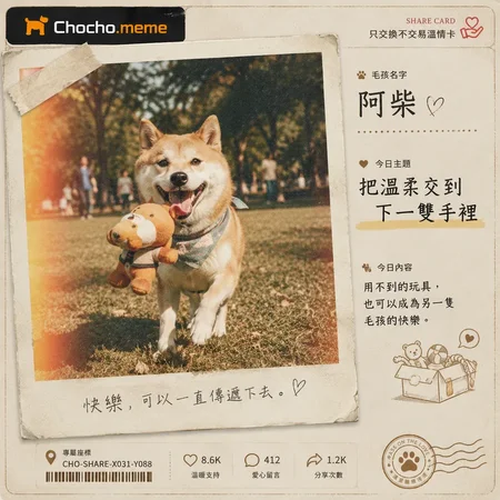 只交換不交易溫情卡