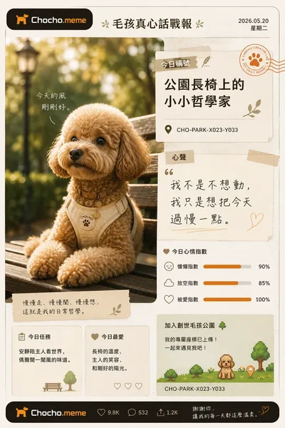 毛孩真心話戰報